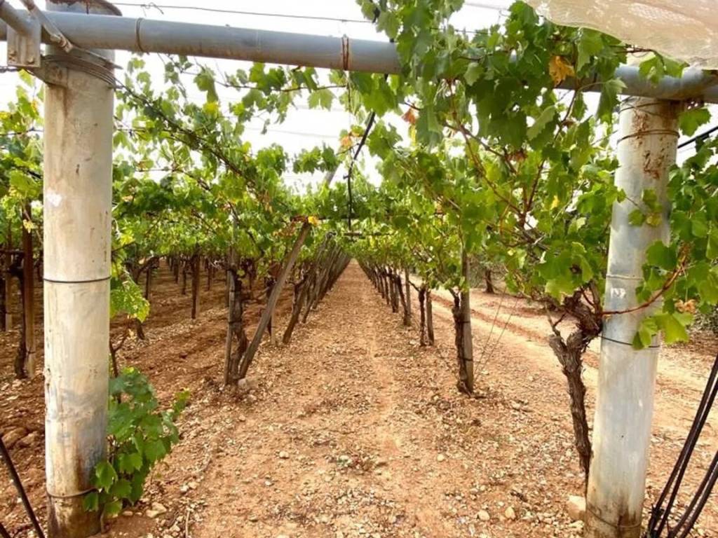 Terreno a Grottaglie in Contrada Le Monache - Foto 5