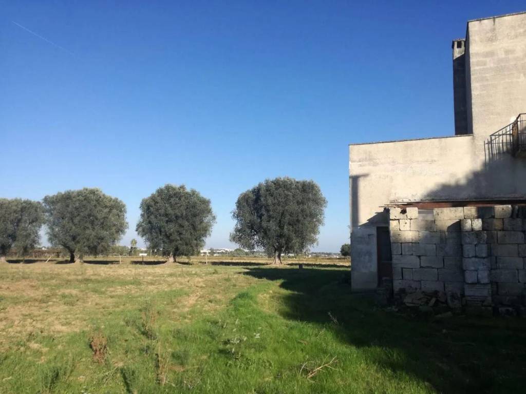 Rustico / casale a Francavilla fontana - Foto 3
