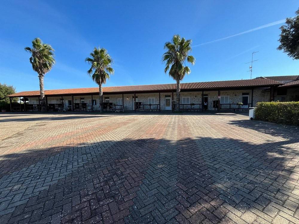 Palazzo / stabile a Noci in Strada Provinciale per Martina Franca - Foto 4