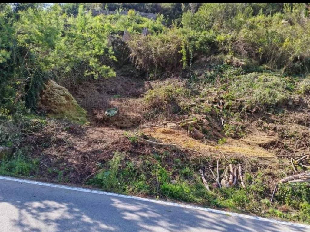 Terreno a Soldano in Corso Verbone - Foto 2