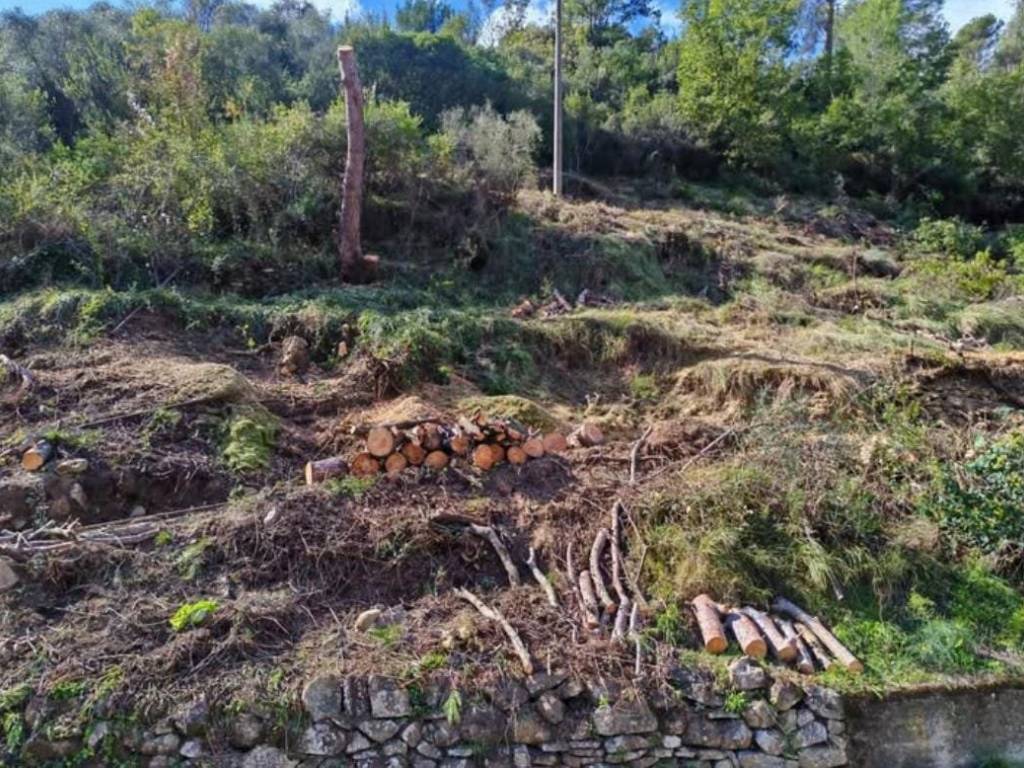 Terreno a Soldano in Corso Verbone - Foto 3