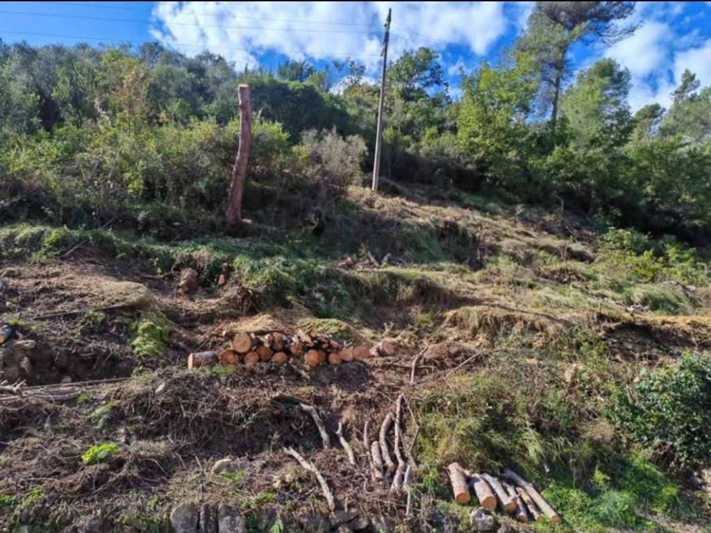 Terreno a Soldano in Corso Verbone - Foto 5
