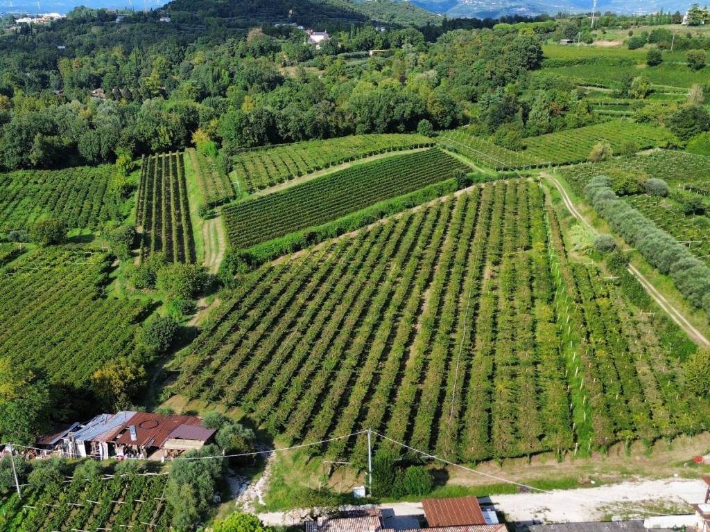 Terreno a Bussolengo in Località Rotti - Foto 2