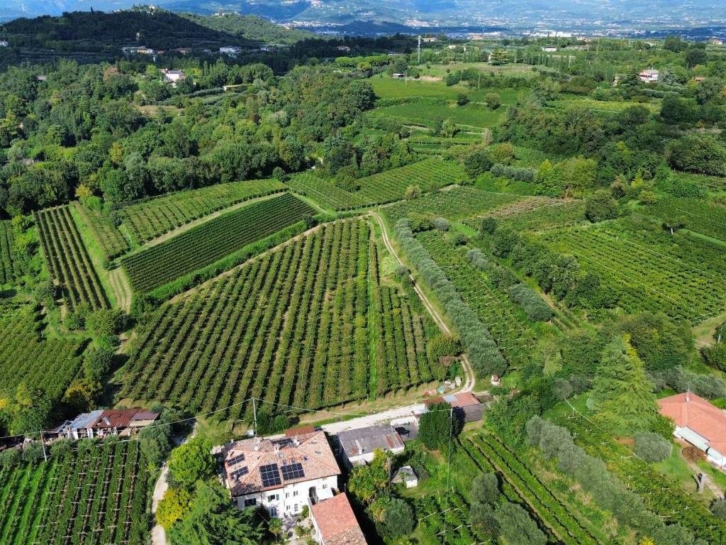 Terreno a Bussolengo in Località Rotti - Foto 3