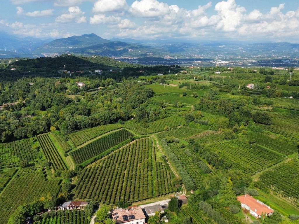Terreno a Bussolengo in Località Rotti - Foto 4