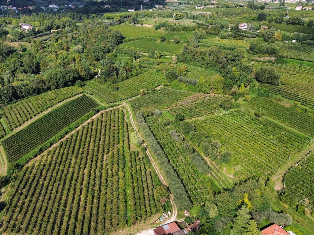 Terreno a Bussolengo in Località Rotti - Foto 5