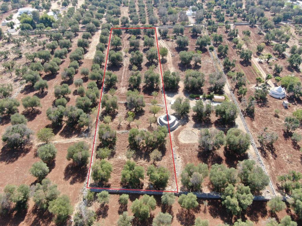 Terreno a Carovigno in SP32 - Foto 4