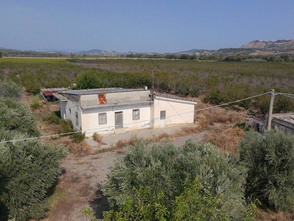 Terreno a Tursi - Foto 2