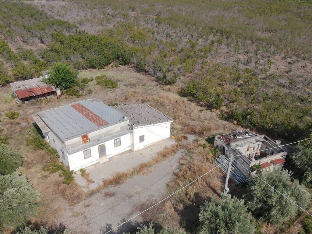 Terreno a Tursi - Foto 3