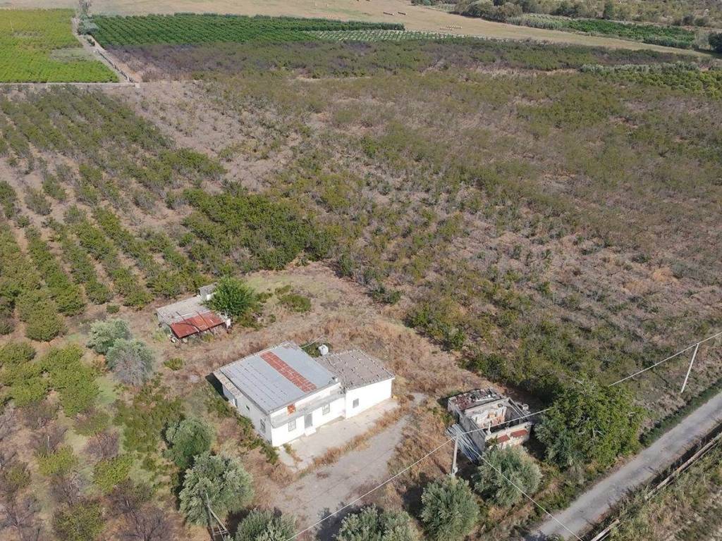 Terreno a Tursi - Foto 4