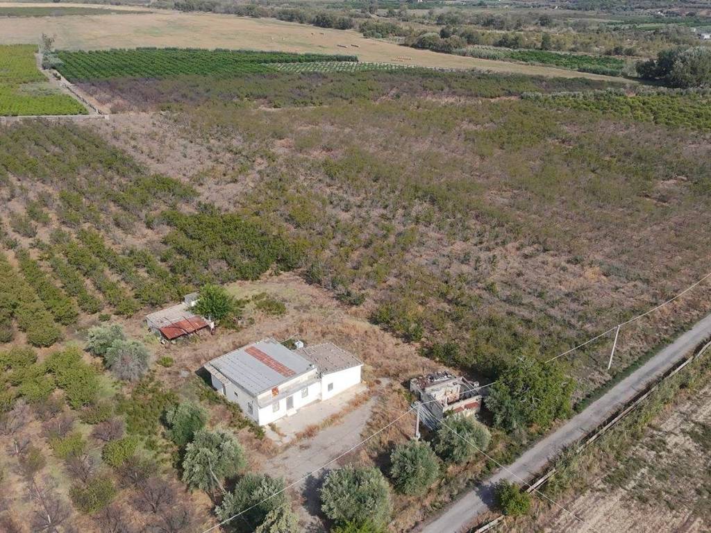 Terreno a Tursi - Foto 5