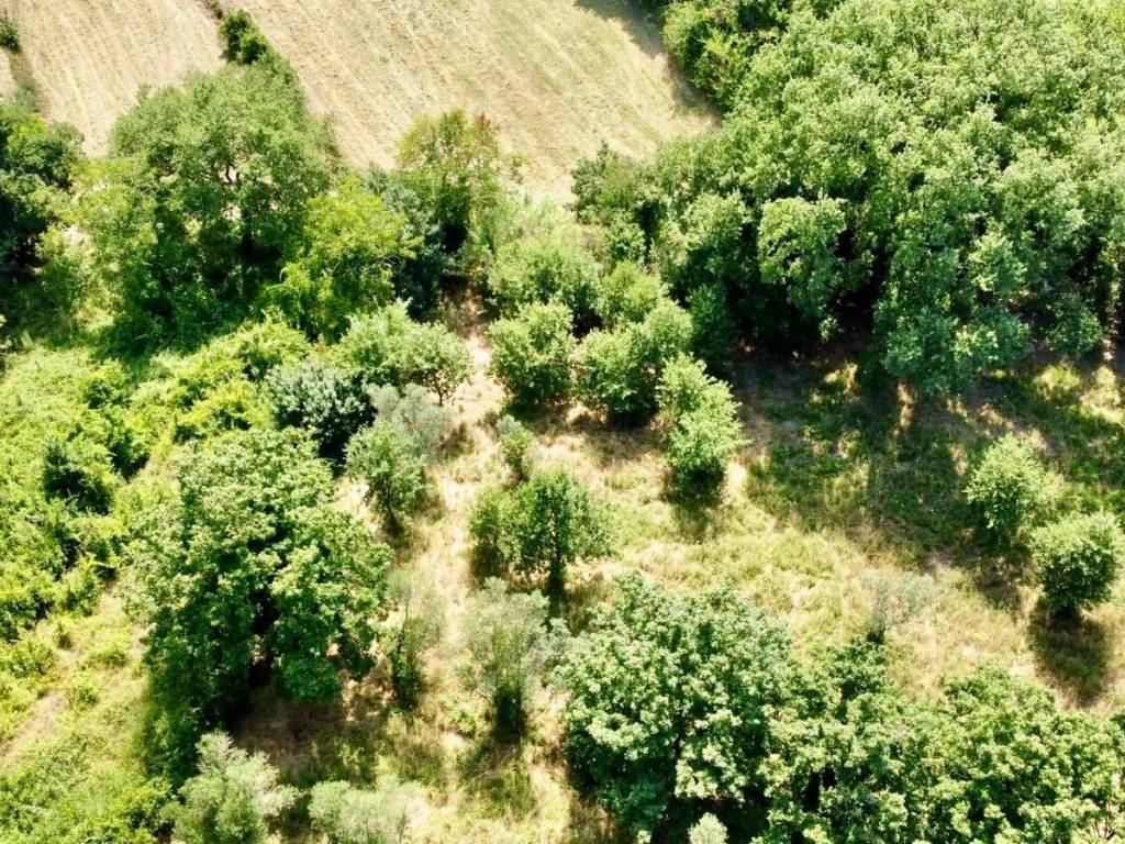 Terreno a Todi in Vocabolo Canonica Vecchia - Foto 2
