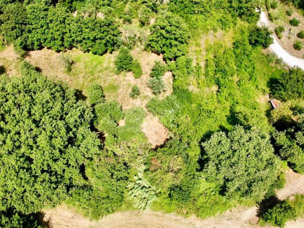 Terreno a Todi in Vocabolo Canonica Vecchia - Foto 3