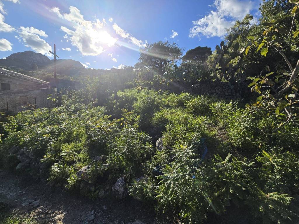 Terreno a Monreale in Strada Vicinale Montagnola, 29 - Foto 4