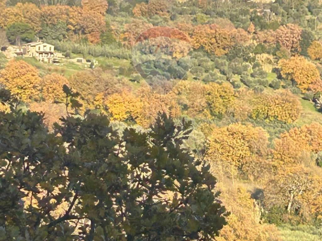 Appartamento a Perugia - Foto 3