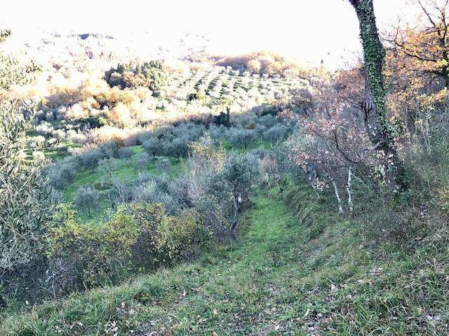 Casa indipendente a Monsummano terme - Foto 2