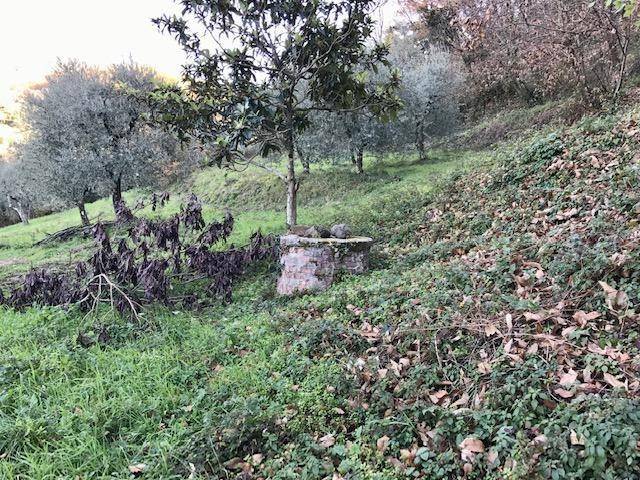 Casa indipendente a Monsummano terme - Foto 3