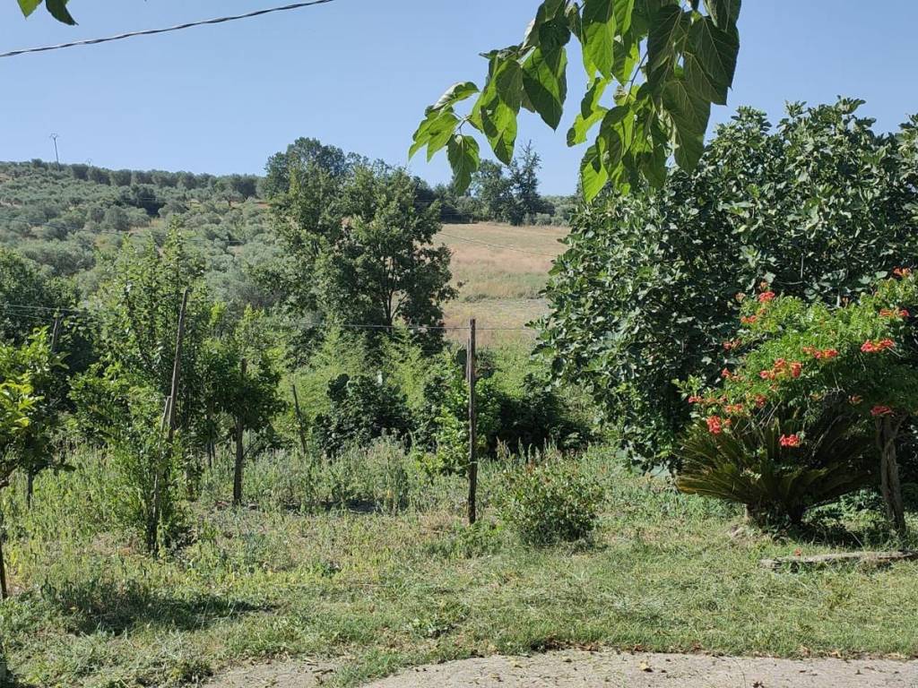 Villa a Buccino in Contrada Ponte Piccolo - Foto 3