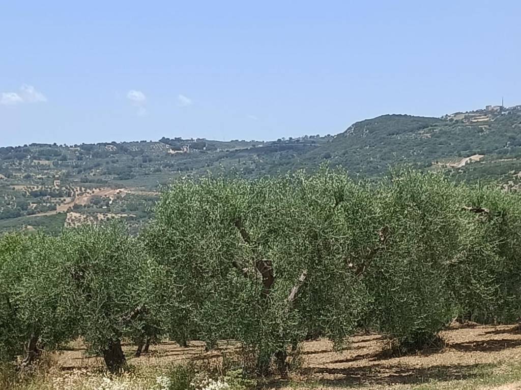 Villa a Buccino in Contrada Ponte Piccolo - Foto 4