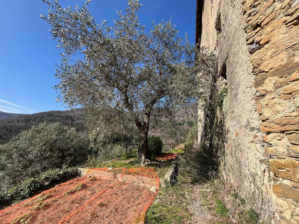 Rustico / casale a Nasino - Foto 4