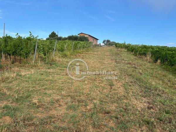 Rustico / casale a Montepulciano in Strada Statale 326 Ovest - Foto 2