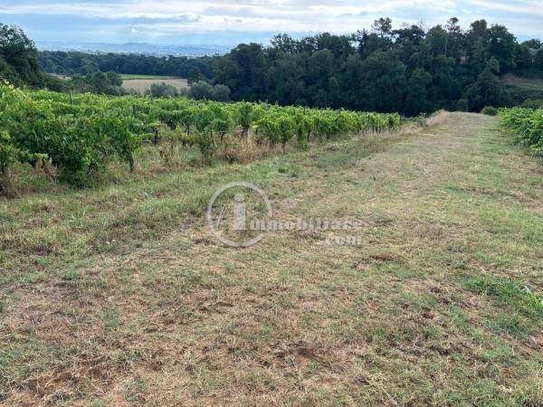 Rustico / casale a Montepulciano in Strada Statale 326 Ovest - Foto 4