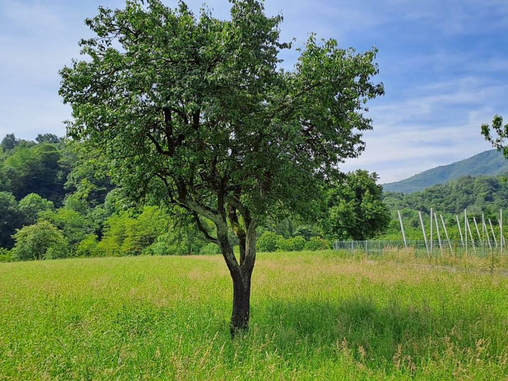 Rustico / casale a Bagnolo piemonte - Foto 3
