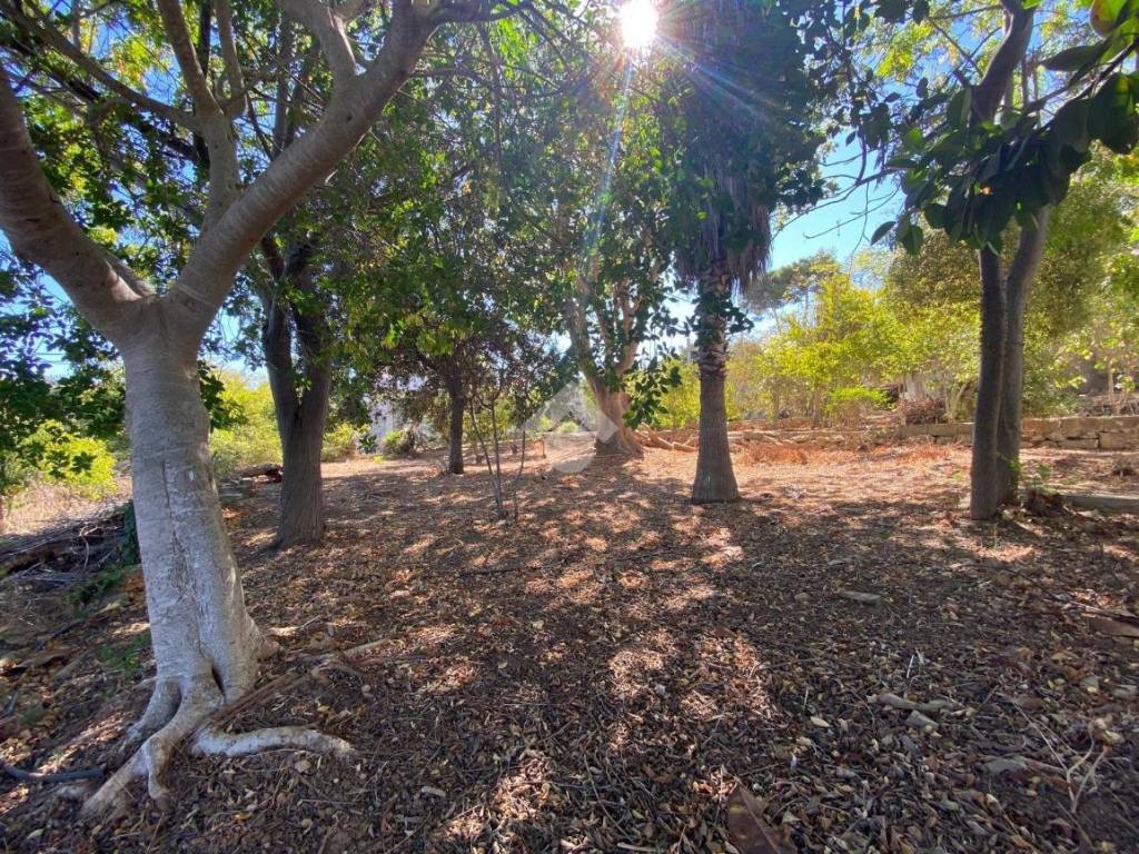 Terreno a Marsala in Contrada Santa Venera - Foto 2