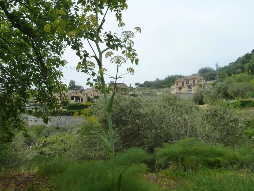 Rustico / casale a Castelmola in Contrada Mastrissa No Number - Foto 4