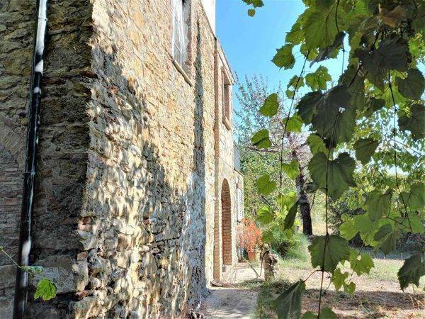 Rustico / casale a Riparbella - Foto 5