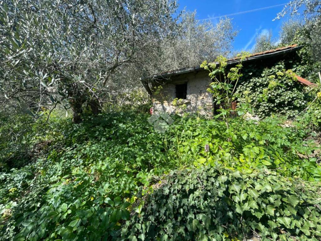 Rustico / casale a Imperia in Str. Fontana Natta - Foto 2