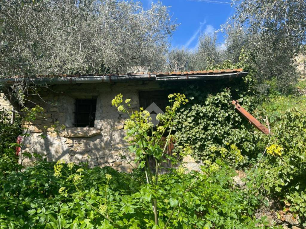 Rustico / casale a Imperia in Str. Fontana Natta - Foto 3