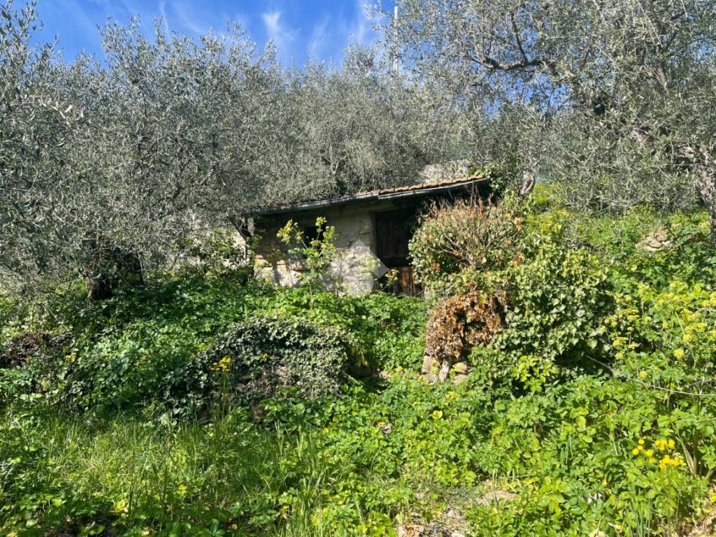 Rustico / casale a Imperia in Str. Fontana Natta - Foto 4