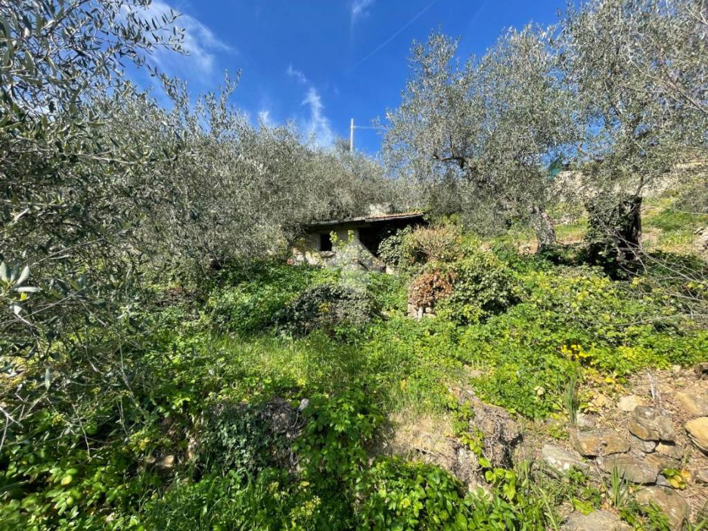 Rustico / casale a Imperia in Str. Fontana Natta - Foto 5