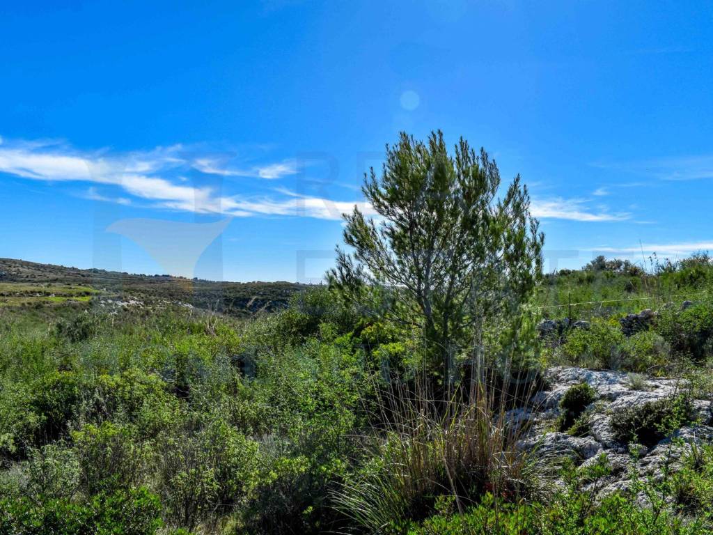 Terreno a Noto in Via Tommaso Fazello, 228 - Foto 3