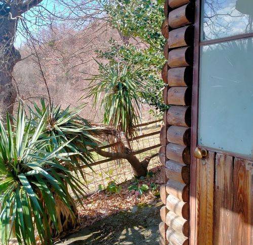 Villa a Cosseria in Località Bricco - Foto 5