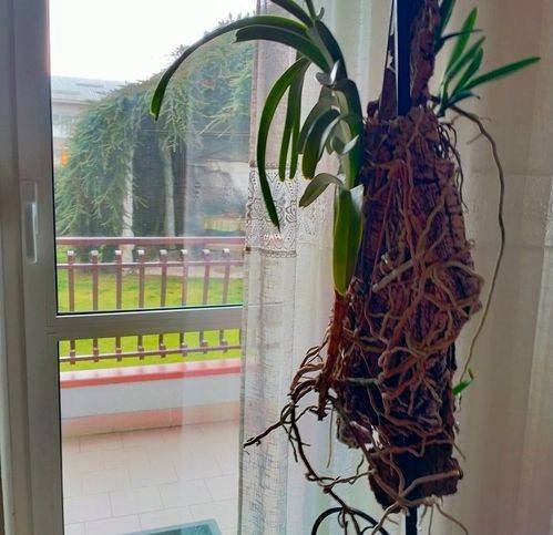 Appartamento a Cairo montenotte in Cairo - Foto 4