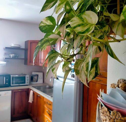 Villa a Plodio in Plodio Alto - Foto 5