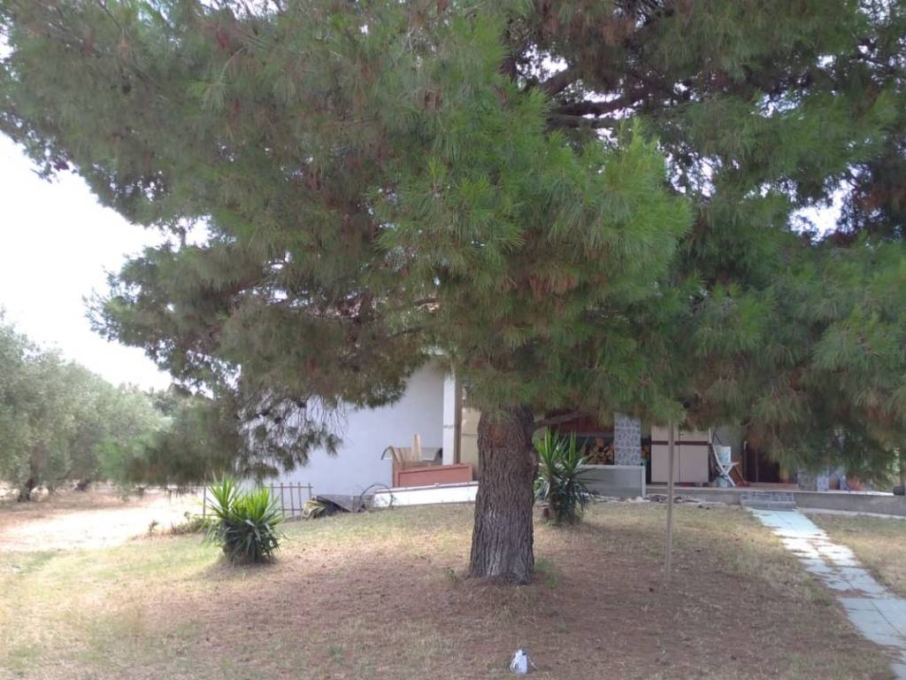 Villa a Marrubiu in Strada Provinciale di Terralba - Foto 5