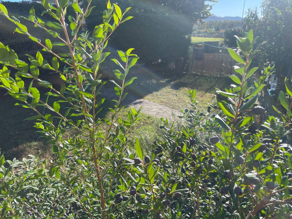 Appartamento a Rivanazzano terme in Via Coralli - Foto 5