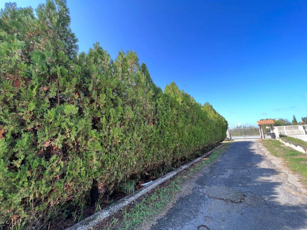 Villa a Pizzo in Contrada Difesa - Foto 5