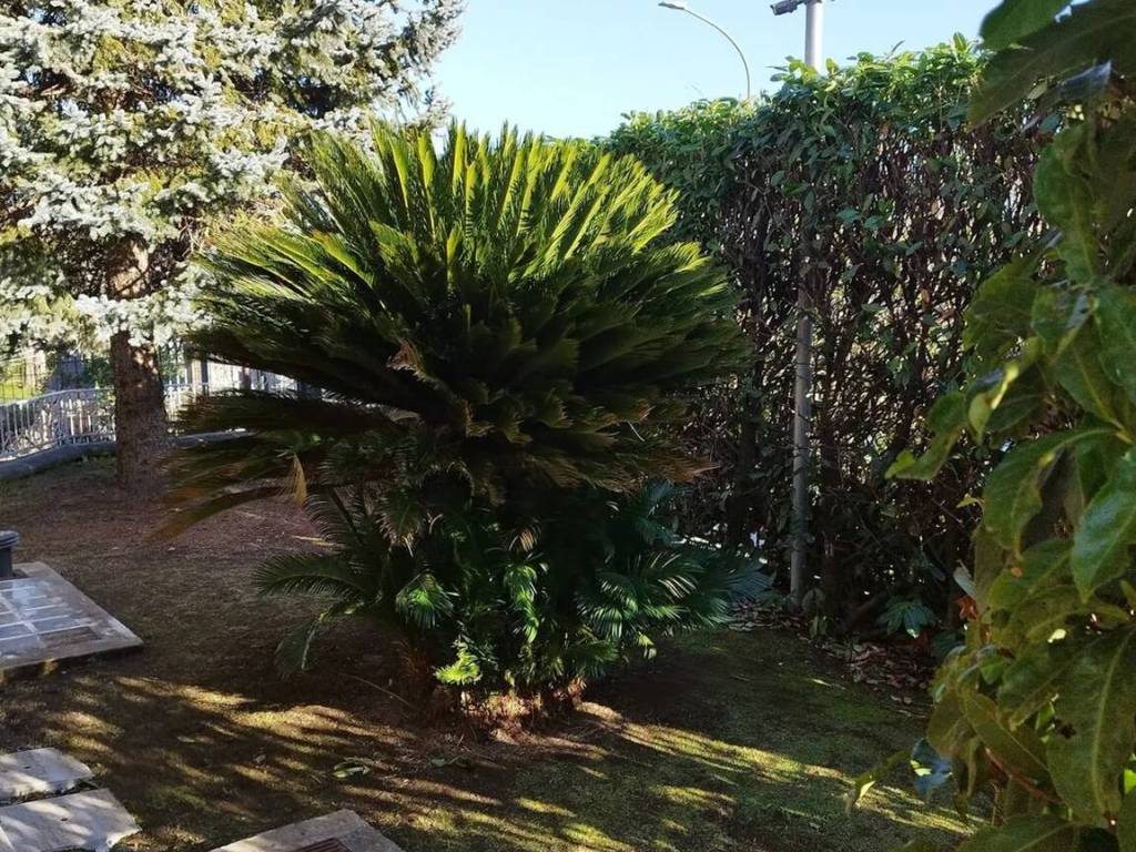 Villa a Avellino in Via Sant'Eustachio S.N.C. - Foto 4