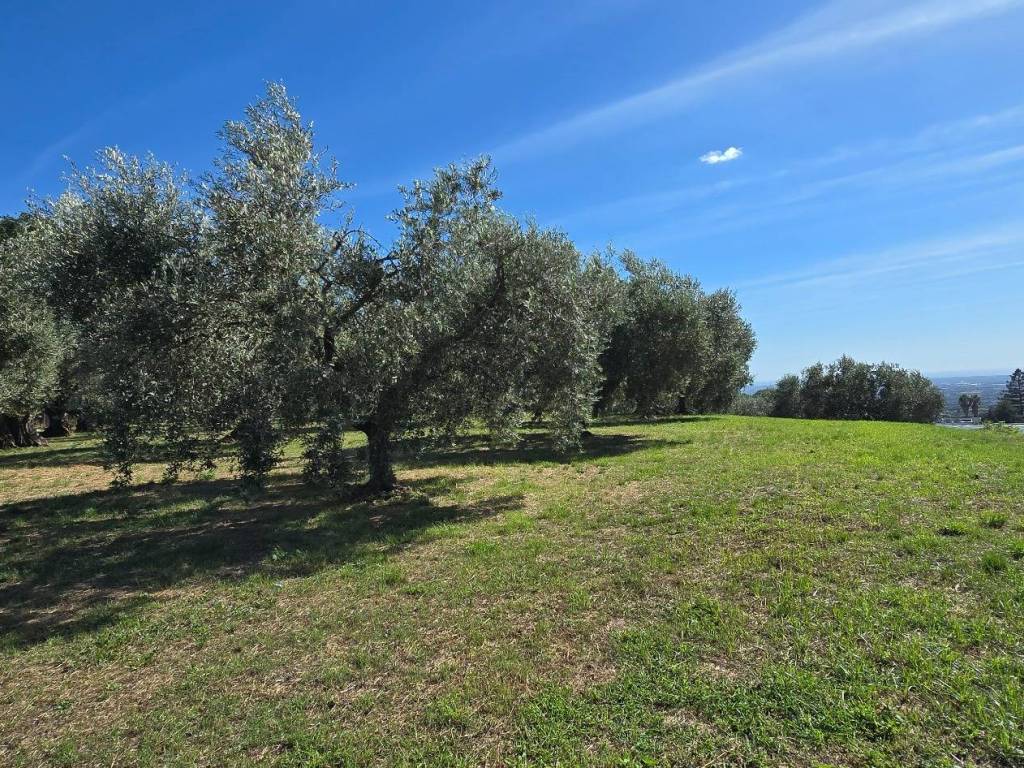 Terreno a Genzano di roma in Viale del Lavoro - Foto 5