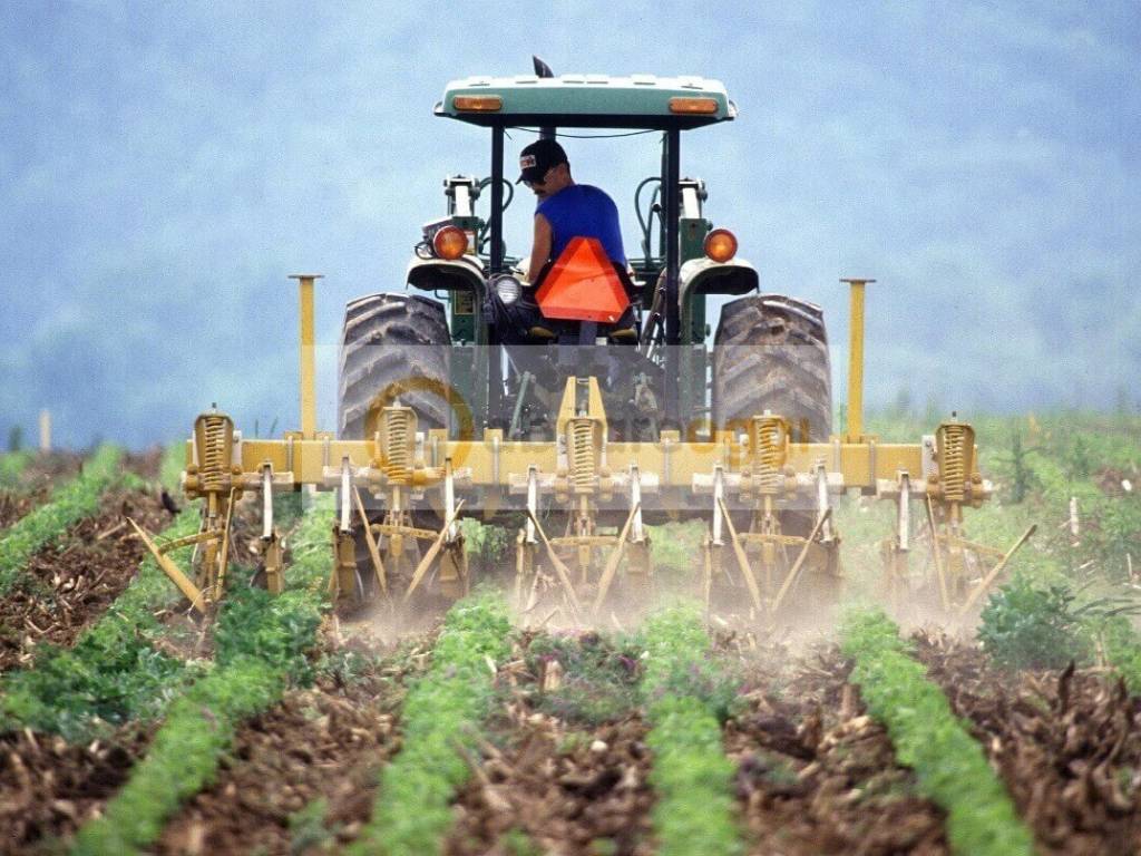 Terreno a Marostica - Foto 3