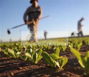 Terreno a Marostica - Foto 4