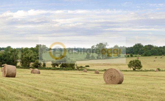 Terreno a Marostica - Foto 5