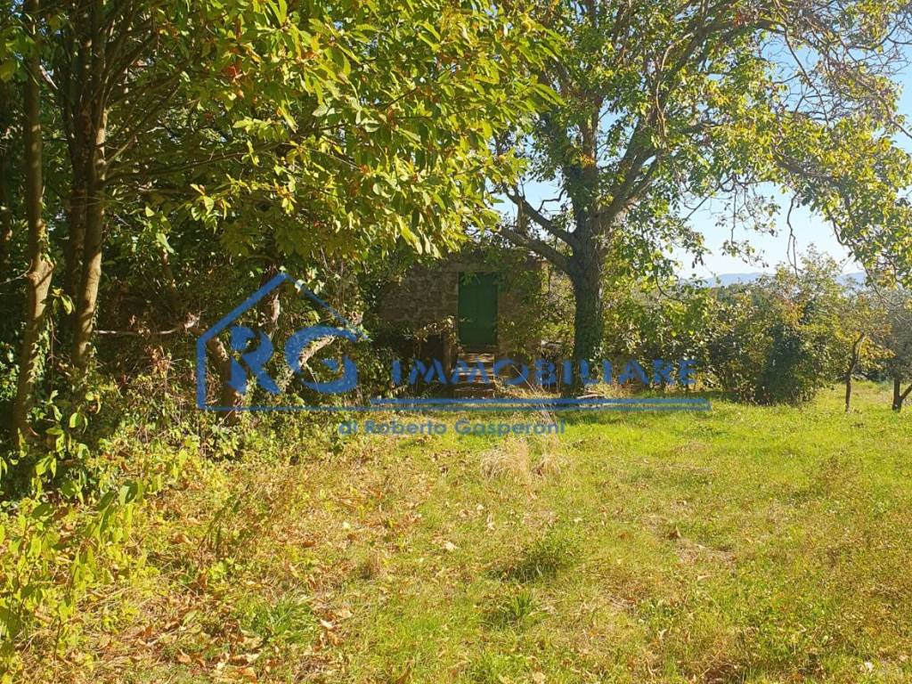 Terreno a Bagnoregio in Località Piensi - Foto 5
