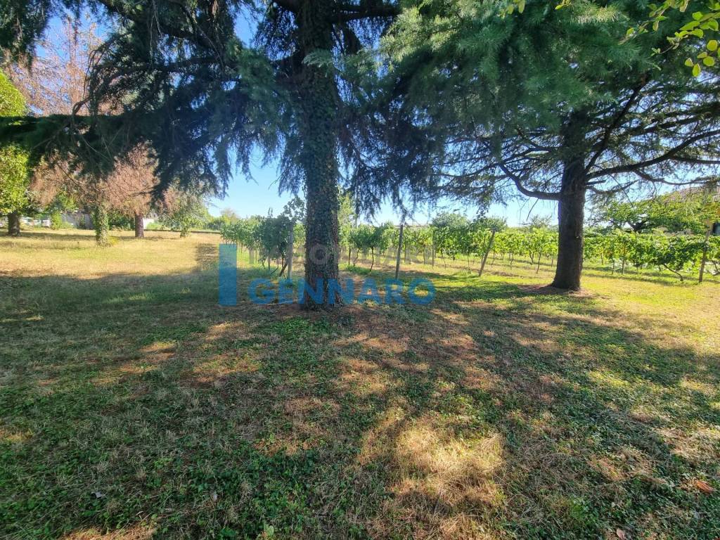 Terreno a Pavia di udine - Foto 4