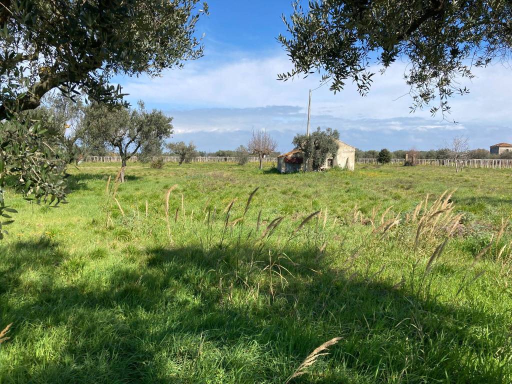 Terreno a Ortona in Strada Provinciale Villa-San Nicola - Foto 2