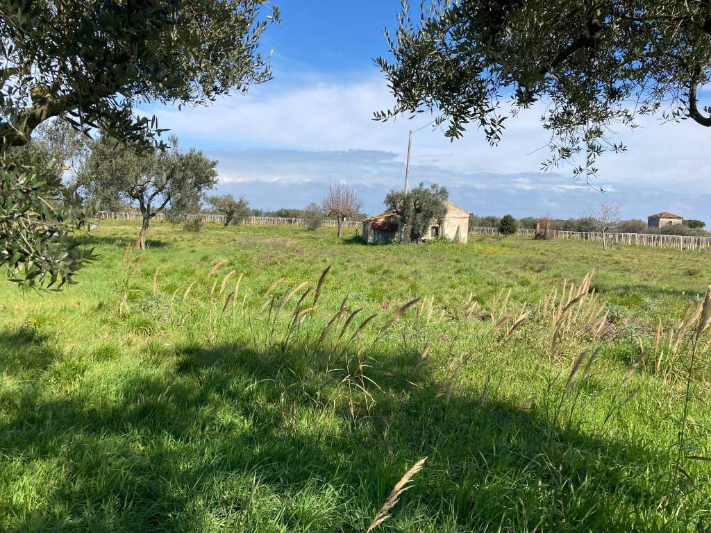 Terreno a Ortona in Strada Provinciale Villa-San Nicola - Foto 3
